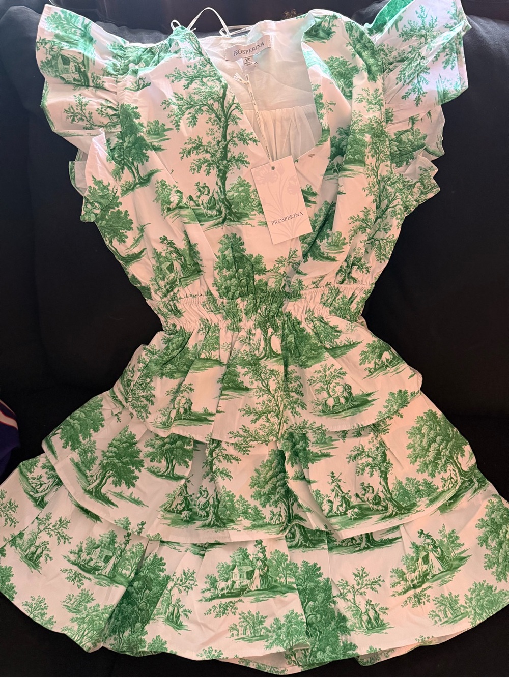 Prosperina Green Toile Print Dress